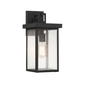 Clayton Large Outdoor Wall Lantern