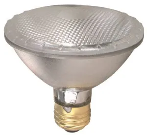 Indoor /Outdoor Par 30 Halogen Par Lamp